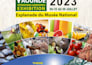 create flyers, brochures, and marketing materials